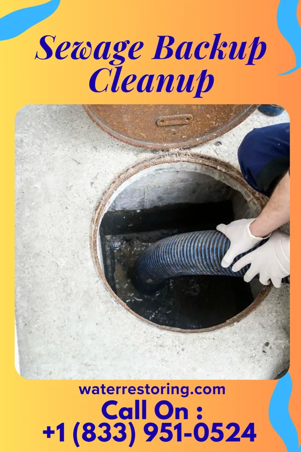 Sewage Backup Cleanup in Brecon, OH