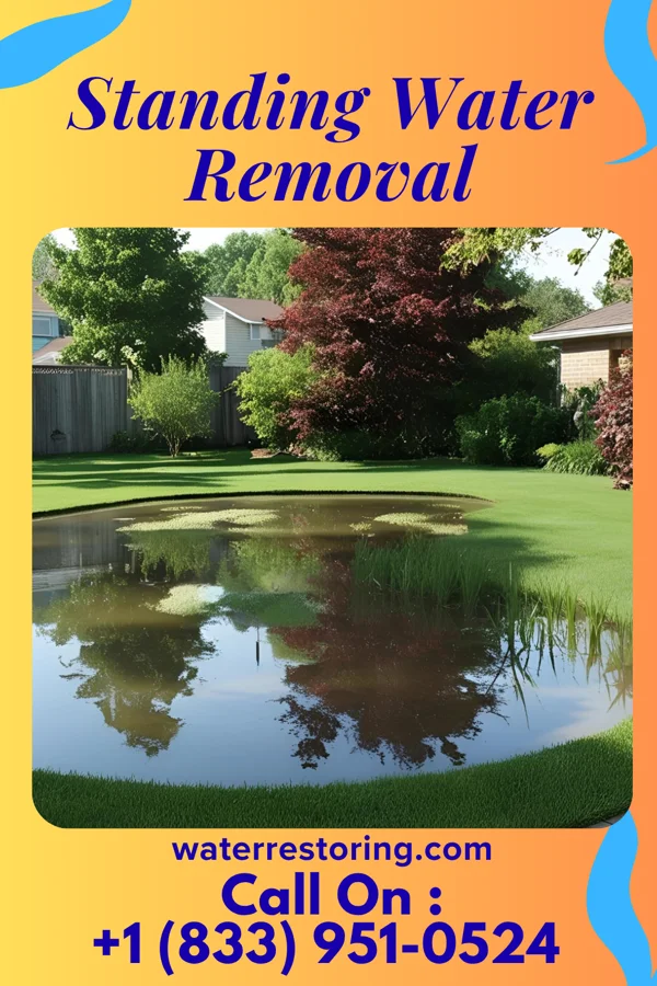 Standing Water Removal in Brecon, OH